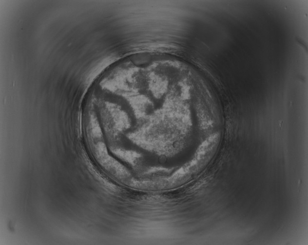 X0000103251079200809251345