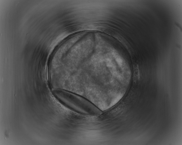 X0000103251080200809251345