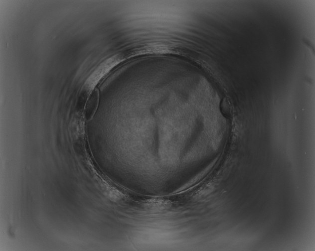 X0000103251081200809251345