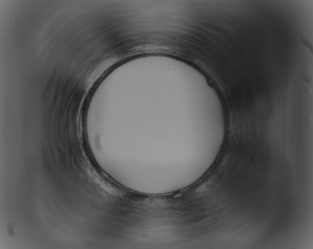 X0000103251082200809251345