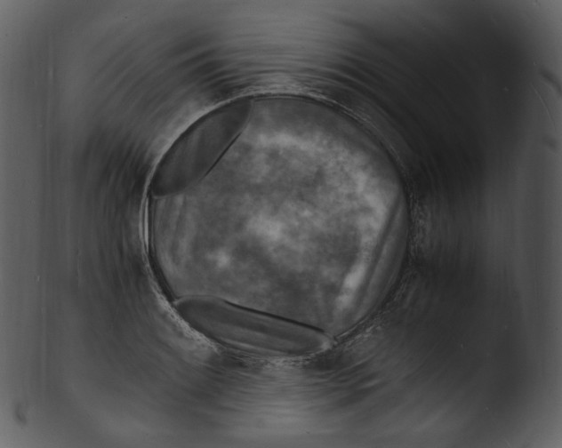 X0000103251084200809251345