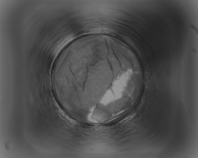 X0000103251087200809251345