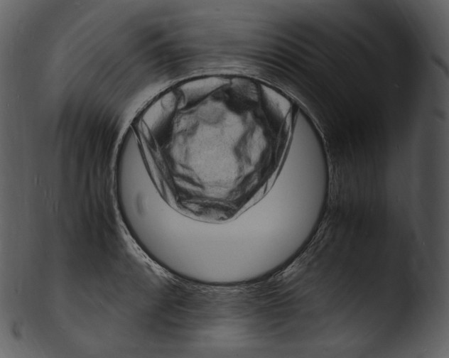 X0000103251088200809251345