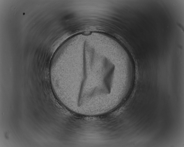 X0000103251089200809251345