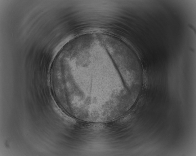 X0000103251090200809251345