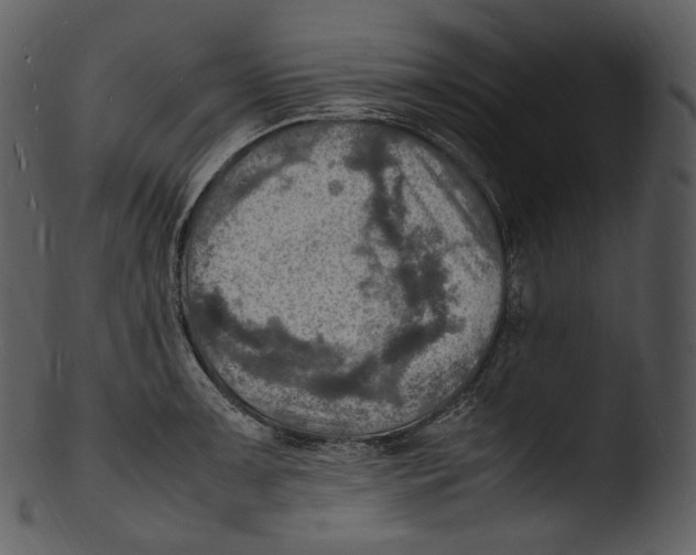 X0000103251091200809251345