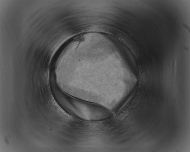 X0000103251092200809251345
