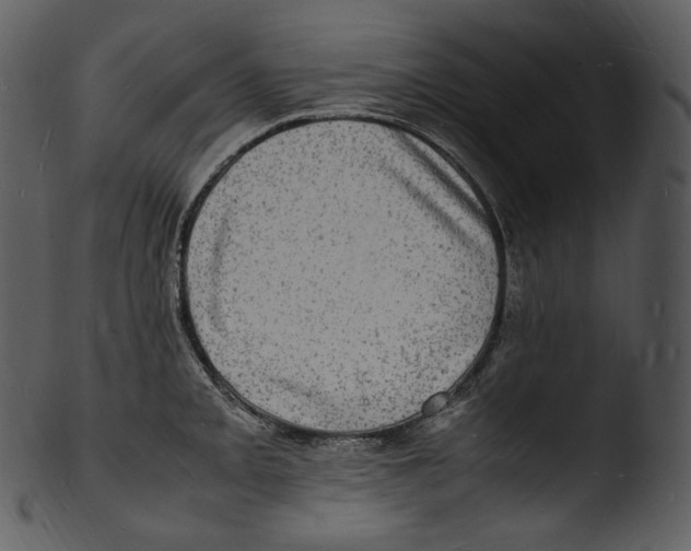 X0000103251093200809251345