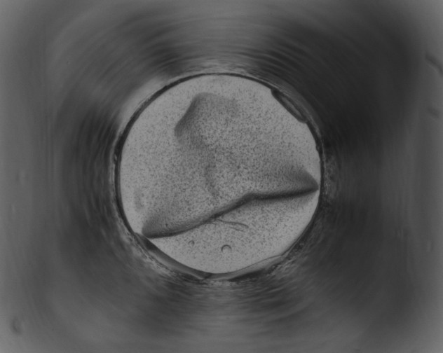 X0000103251096200809251345