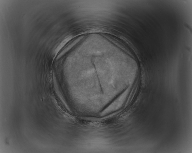 X0000103251097200809251345