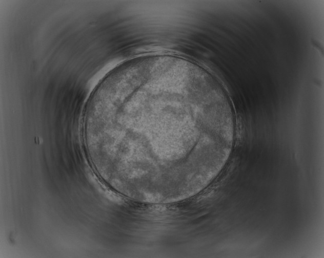 X0000103251098200809251345