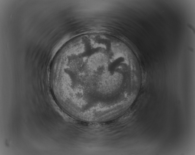 X0000103251099200809251345