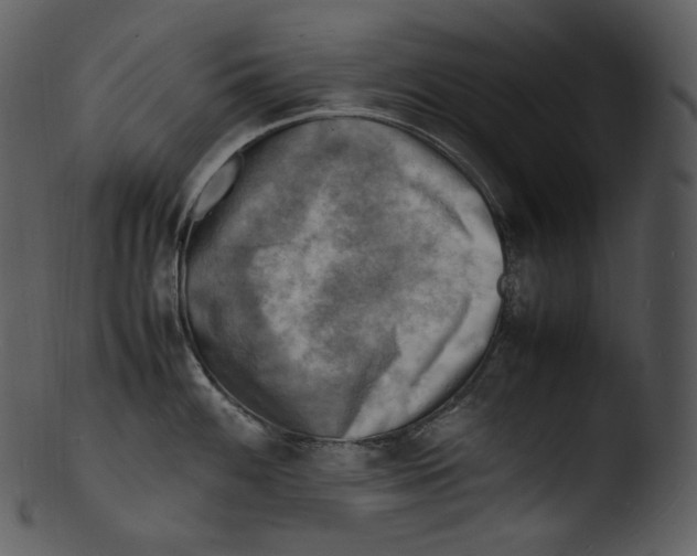 X0000103251100200809251345