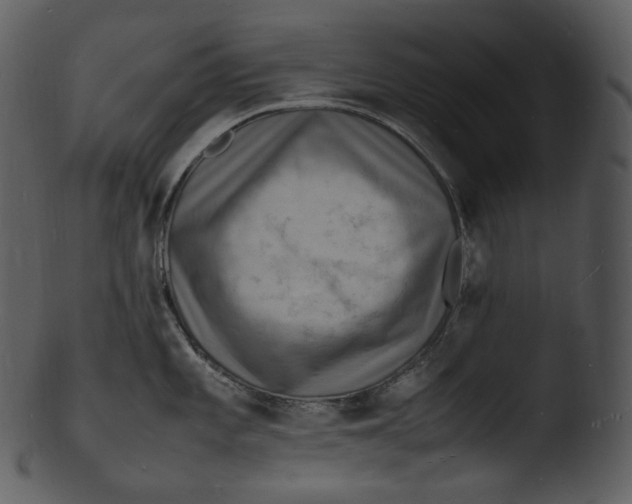 X0000103251101200809251345