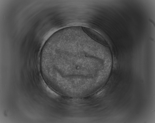 X0000103251102200809251345
