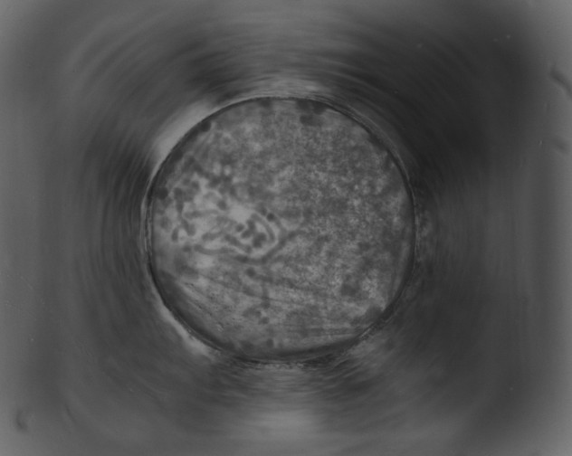 X0000103251103200809251345