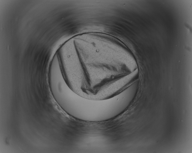 X0000103251104200809251345