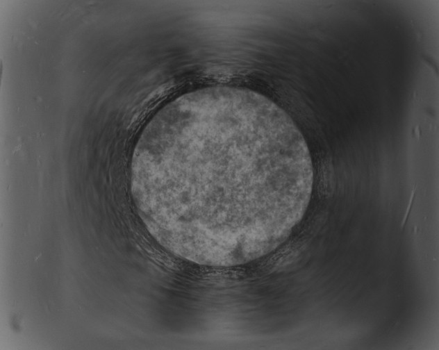 X0000103251105200809251344