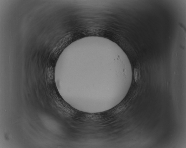 X0000103251107200809251344