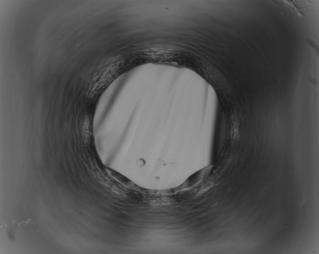 X0000103251108200809251344