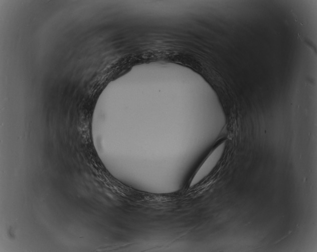 X0000103251109200809251344