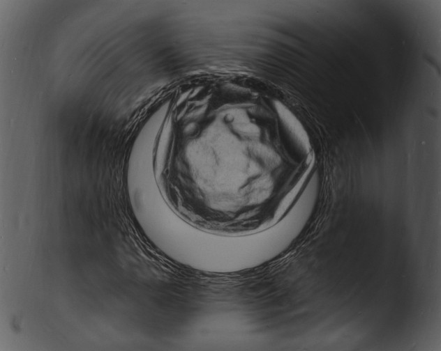 X0000103251110200809251344