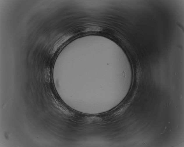 X0000103251113200809251344
