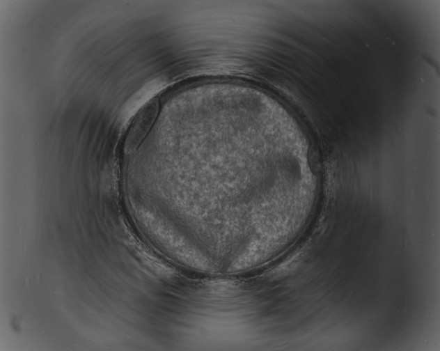 X0000103251114200809251344