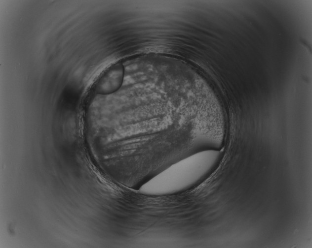 X0000103251115200809251344