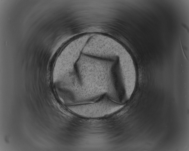 X0000103251116200809251344
