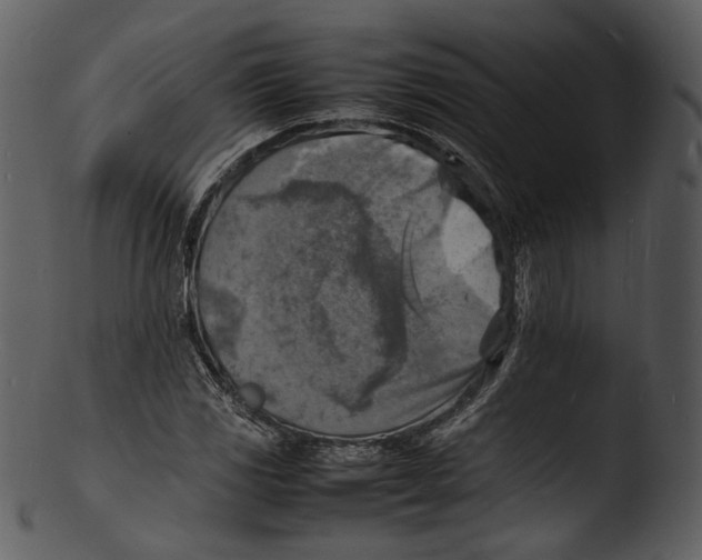 X0000103251117200809251344