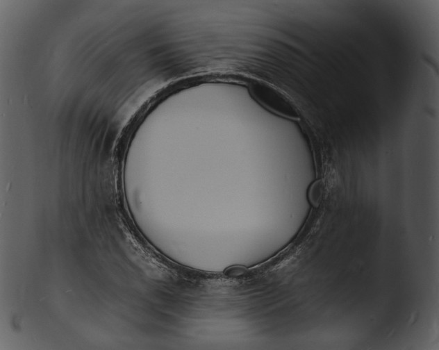 X0000103251118200809251344