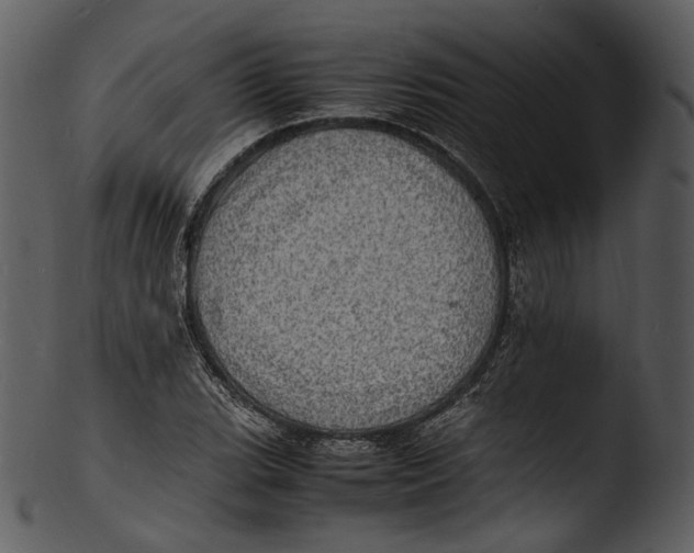 X0000103251119200809251344