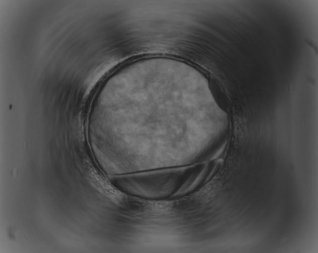 X0000103251120200809251344