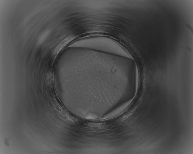 X0000103251121200809251344
