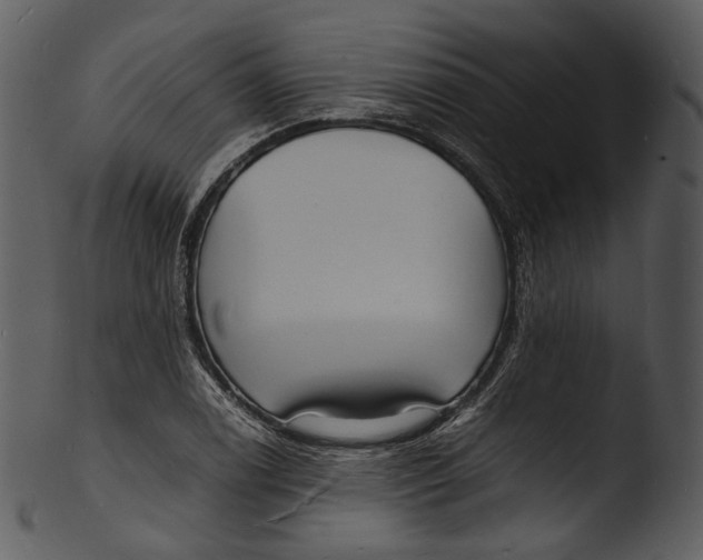 X0000103251122200809251344