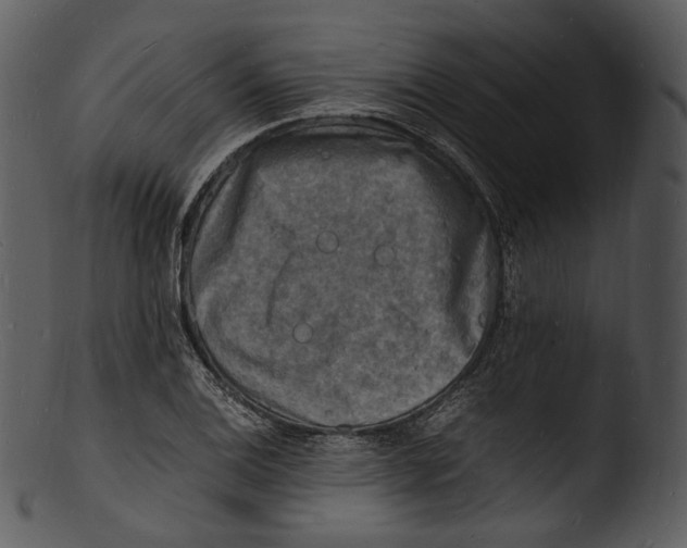 X0000103251124200809251345