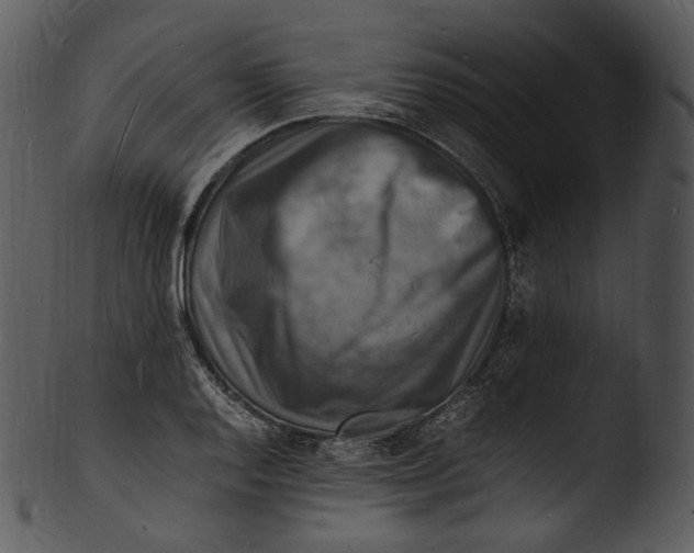 X0000103251128200809251345