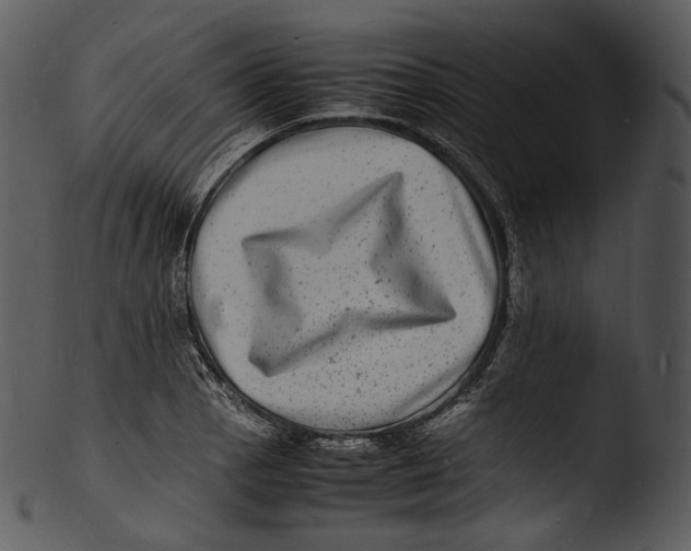 X0000103251129200809251345