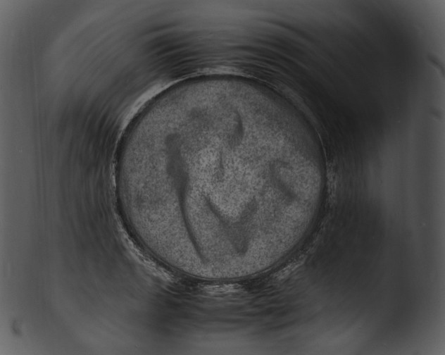 X0000103251133200809251345