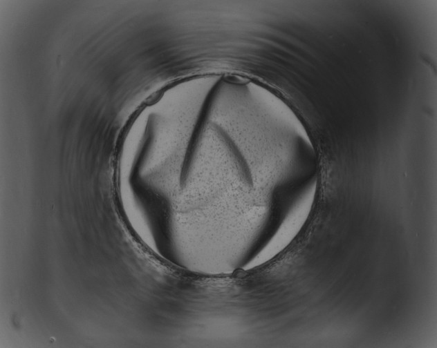 X0000103251134200809251345