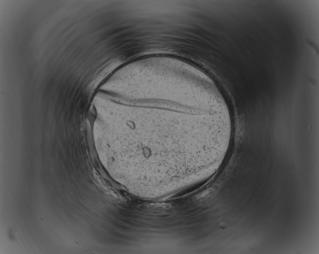 X0000103251137200809251345