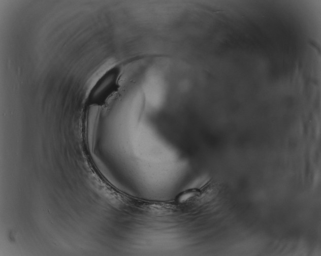X0000103251138200809251345