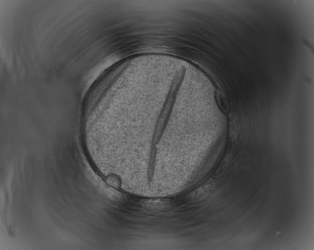 X0000103251139200809251345
