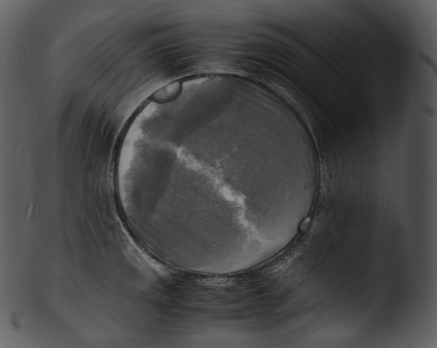 X0000103251141200809251345