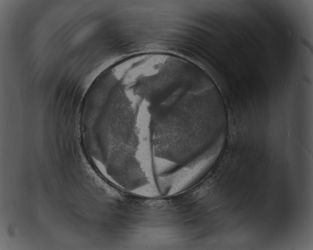 X0000103251142200809251345