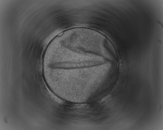 X0000103251143200809251345