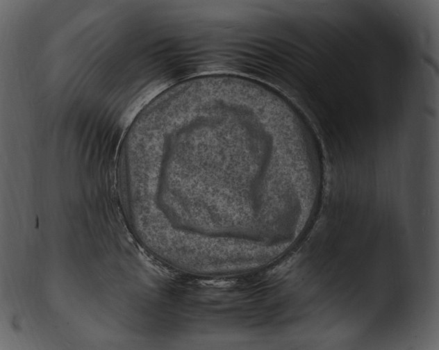 X0000103251145200809251345
