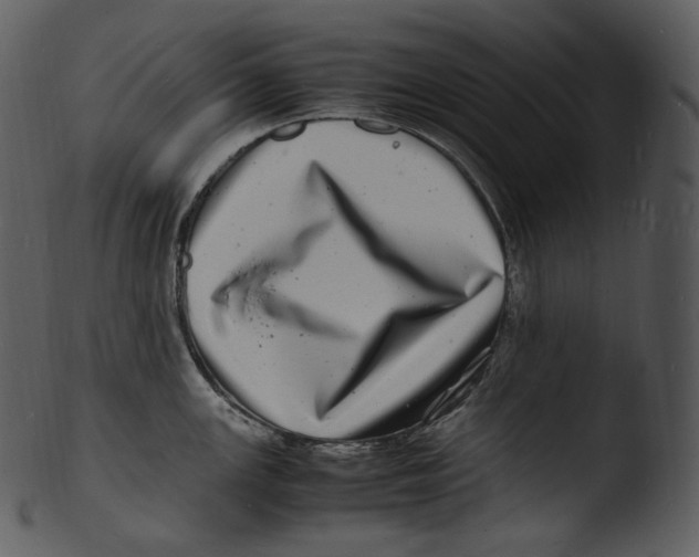 X0000103251147200809251345