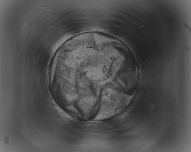 X0000103251151200809251345